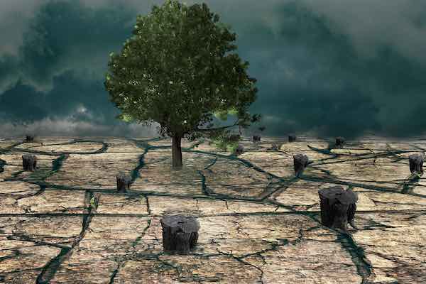 Klimawandel Trockenheit